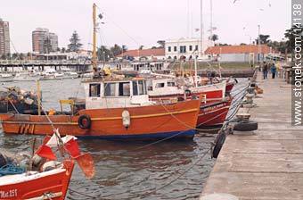 Lanchas pesqueras - Punta del Este y balnearios cercanos - URUGUAY. Foto No. 14138