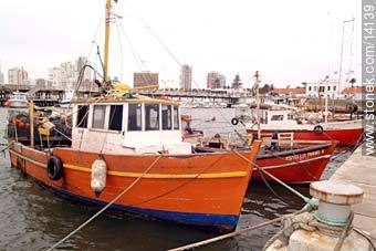 Lanchas pesqueras - Punta del Este y balnearios cercanos - URUGUAY. Foto No. 14139
