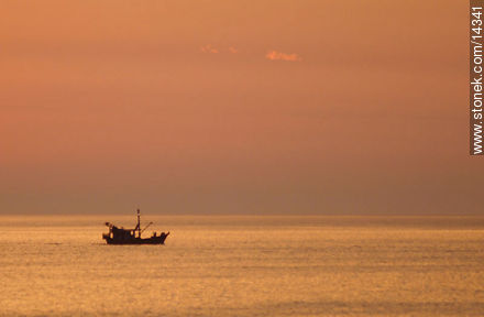 Barco pesquero al atardecer - Departamento de Maldonado - URUGUAY. Foto No. 14341
