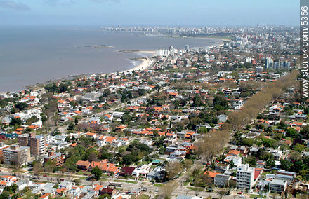 Punta Gorda. - Department of Montevideo - URUGUAY. Photo #5356