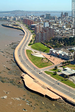 Rambla República Argentina. - Departamento de Montevideo - URUGUAY. Foto No. 5393