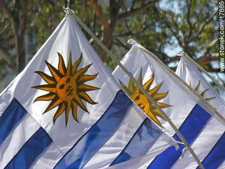  - Department of Montevideo - URUGUAY. Photo #17665