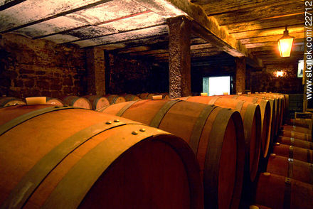 Carrau winery - Department of Montevideo - URUGUAY. Photo #22712