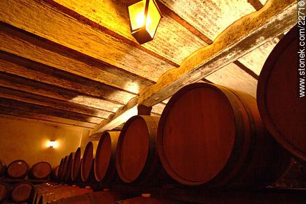 Carrau winery - Department of Montevideo - URUGUAY. Photo #22716