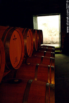 Carrau winery - Department of Montevideo - URUGUAY. Photo #22719