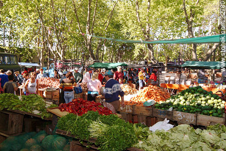 Market Fair in Aparicio Saravia Ave. - Department of Montevideo - URUGUAY. Photo #22780