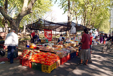 Market Fair in Aparicio Saravia Ave. - Department of Montevideo - URUGUAY. Photo #22782