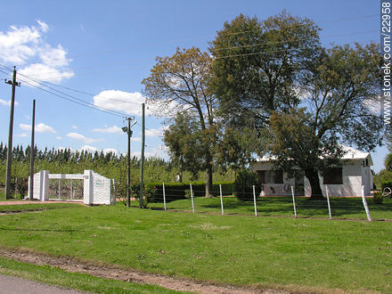 Zona rural del departamento de Montevideo. - Departamento de Montevideo - URUGUAY. Foto No. 22958
