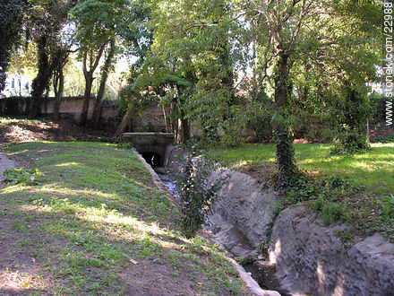 Canal en la quinta del General Máximo Santos - Departamento de Montevideo - URUGUAY. Foto No. 22988