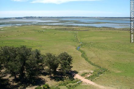 Area of marshland of Maldonado creek - Department of Maldonado - URUGUAY. Photo #20890