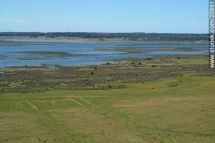 Area of marshland of Maldonado creek - Punta del Este and its near resorts - URUGUAY. Photo #20891