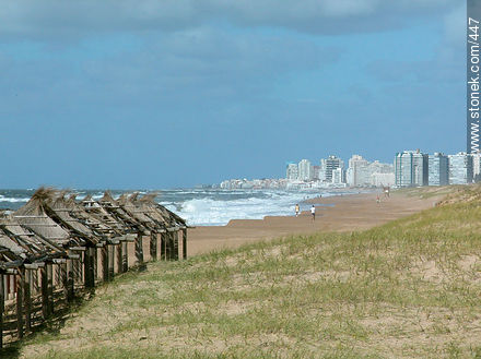  - Punta del Este and its near resorts - URUGUAY. Photo #447