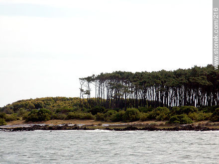 Gorriti Island - Punta del Este and its near resorts - URUGUAY. Photo #216