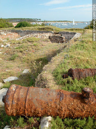 Old cannon in Gorriti - Punta del Este and its near resorts - URUGUAY. Photo #236