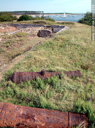 Cañones y fortificaciones en la isla Gorriti - Punta del Este y balnearios cercanos - URUGUAY. Foto No. 239
