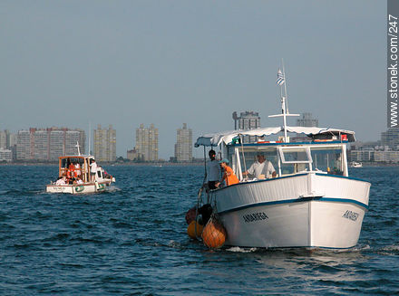 Barcos que transportan pasajeros entre el puerto y la isla - Punta del Este y balnearios cercanos - URUGUAY. Foto No. 247