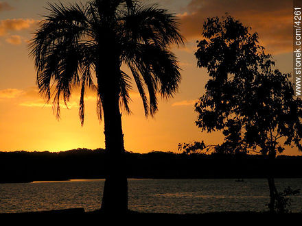 Sunset in Maldonado creek. - Punta del Este and its near resorts - URUGUAY. Photo #4261