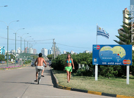 Rambla de la Playa Mansa. Parada 26. Las Delicias - Punta del Este y balnearios cercanos - URUGUAY. Foto No. 250