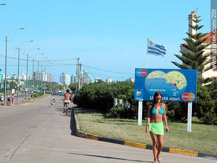  - Punta del Este and its near resorts - URUGUAY. Photo #251