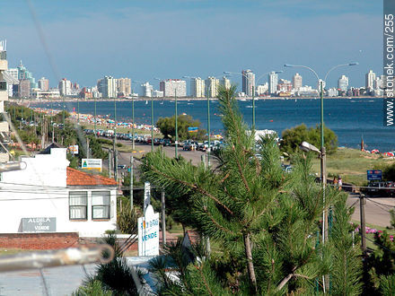  - Punta del Este y balnearios cercanos - URUGUAY. Foto No. 255