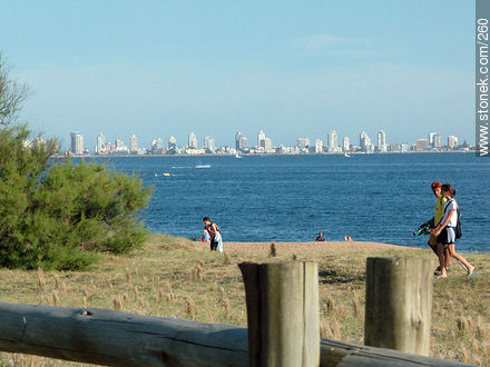 Playa Mansa - Punta del Este and its near resorts - URUGUAY. Photo #260