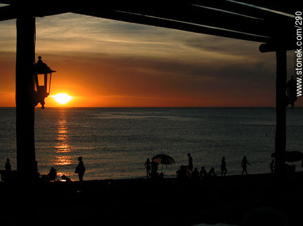  - Punta del Este and its near resorts - URUGUAY. Photo #290
