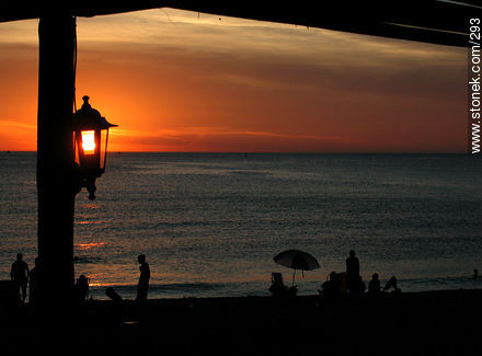  - Punta del Este and its near resorts - URUGUAY. Photo #293