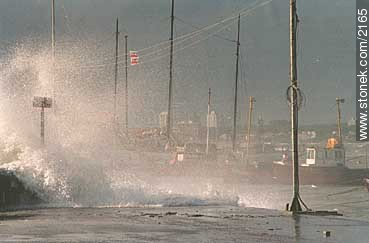 Storm in the port of Punta del Este - Punta del Este and its near resorts - URUGUAY. Photo #2165