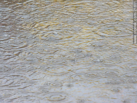 Raindrops -  - MORE IMAGES. Photo #21611