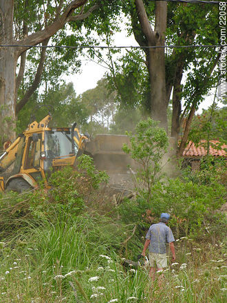 Limpieza de monte - Departamento de Maldonado - URUGUAY. Foto No. 22058
