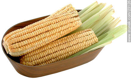 Corn -  - MORE IMAGES. Photo #23126