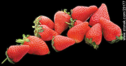 Strawberry -  - MORE IMAGES. Photo #23177
