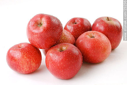 Apples -  - MORE IMAGES. Photo #23236