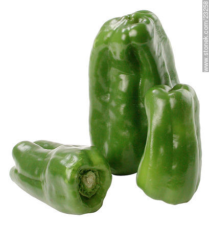 Green pepper -  - MORE IMAGES. Photo #23258