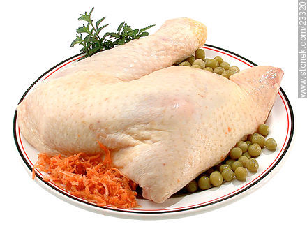 Presa de pollo -  - IMÁGENES VARIAS. Foto No. 23320