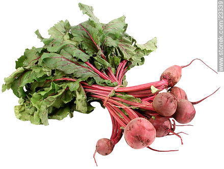Beet -  - MORE IMAGES. Photo #23339
