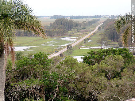 Road to Chuy. - Department of Rocha - URUGUAY. Photo #2681