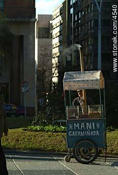 Manicero. - Departamento de Montevideo - URUGUAY. Foto No. 4540
