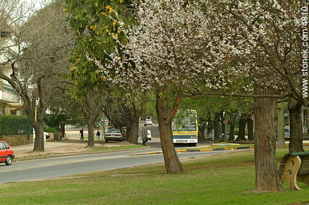  - Departamento de Montevideo - URUGUAY. Foto No. 4810