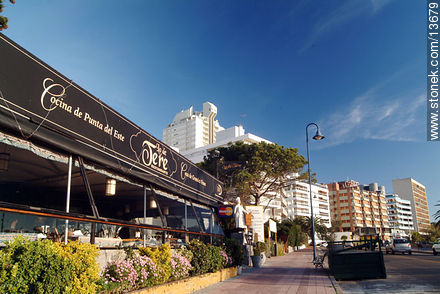 Restaurante Lo de Tere, Punta del Este -  - URUGUAY. Foto No. 13679