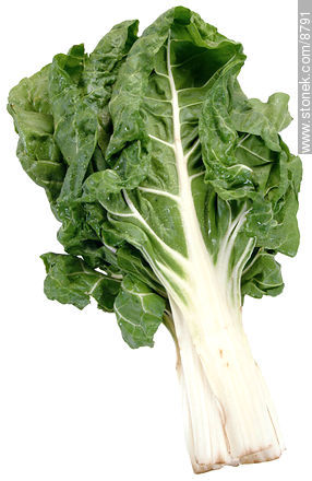 Chard with stems on white background -  - MORE IMAGES. Photo #8791