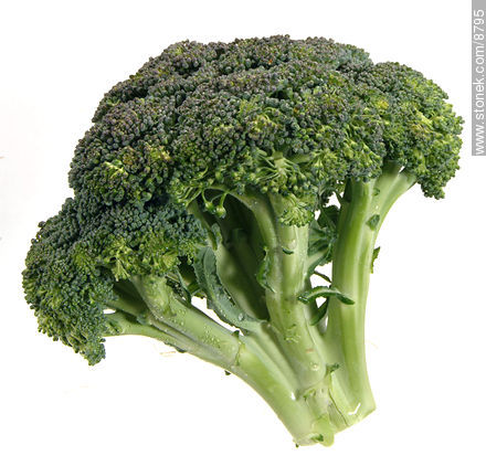 Broccoli -  - MORE IMAGES. Photo #8795