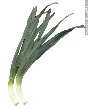 Leek with leaves  -  - MORE IMAGES. Photo #8813