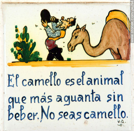 Azulejos decorados. El camello es el animal que más aguanta sin beber. No seas camello. - Departamento de Florida - URUGUAY. Foto No. 24294