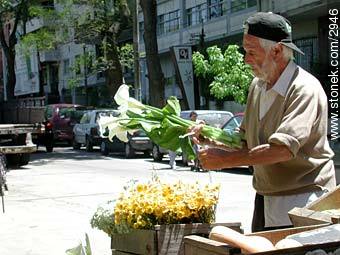 Un florista - Departamento de Montevideo - URUGUAY. Foto No. 2946